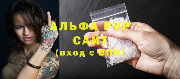 шишки Пересвет
