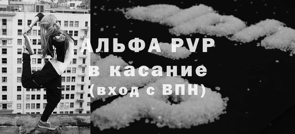 шишки Пересвет