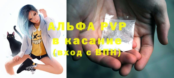 шишки Пересвет