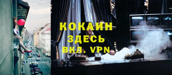 шишки Пересвет