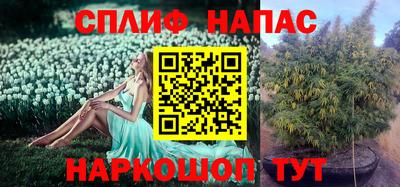a pvp Гусиноозёрск