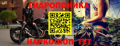 хмурый Гусь-Хрустальный