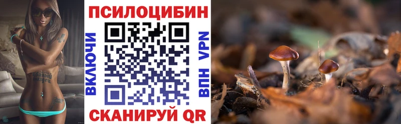 Псилоцибиновые грибы мицелий  Тобольск 