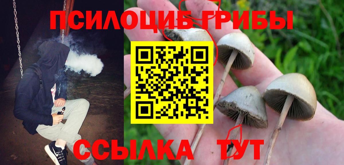 Псилоцибиновые грибы GOLDEN TEACHER  Галлюциногенные грибы Cubensis  Тобольск  Вход с VPN 